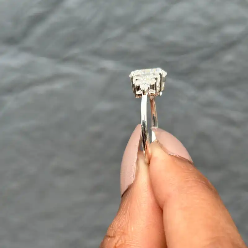 /public/photos/live/147 (4).webp